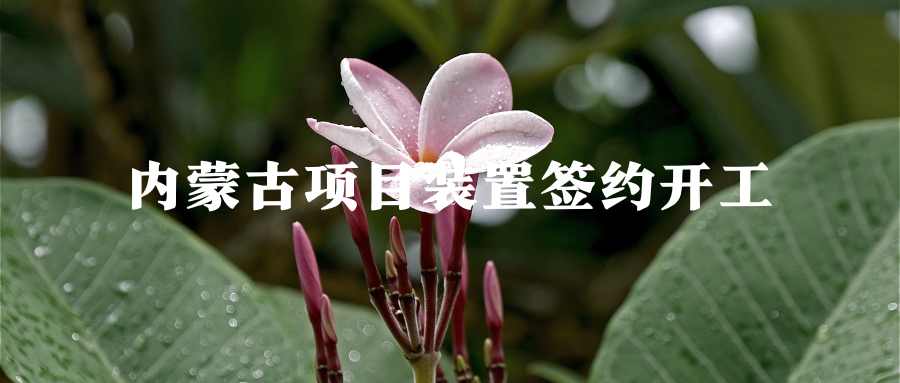 投资251亿元 内蒙古项目装置签约开工